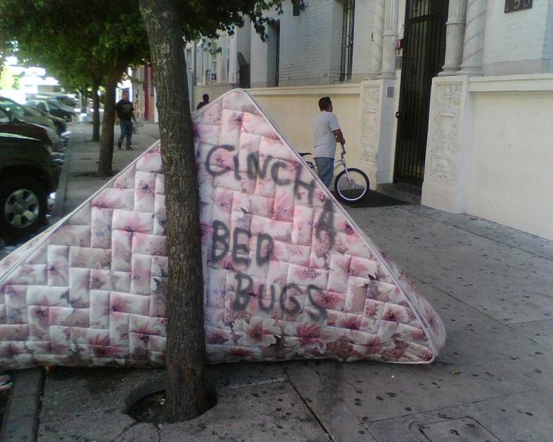 Bed Bug Mattress on Street