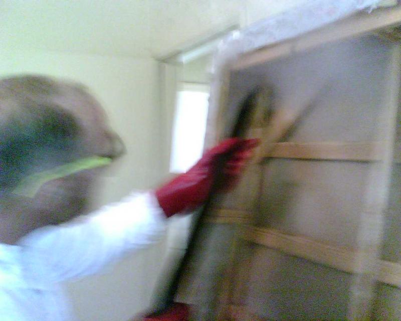 Steaming Bed bugs